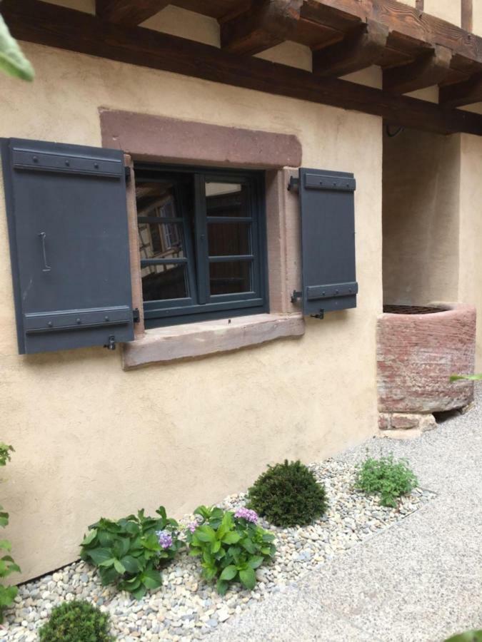 Villa La Dependance D'Elisa à Epfig Extérieur photo