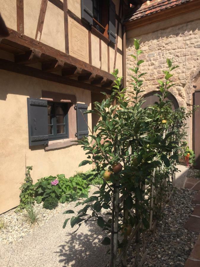 Villa La Dependance D'Elisa à Epfig Extérieur photo